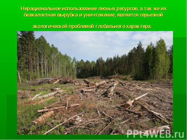 Нерациональное использование лесных ресурсов, а так же их безжалостная вырубка и уничтожение, является серьезной экологической проблемой глобального характера.