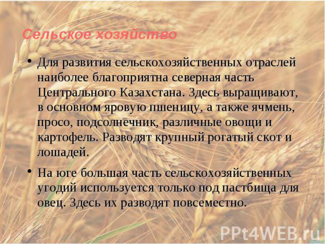 Для развития сельскохозяйственных отраслей наиболее благоприятна северная часть Центрального Казахстана. Здесь выращивают, в основном яровую пшеницу, а также ячмень, просо, подсолнечник, различные овощи и картофель. Разводят крупный рогатый скот и л…