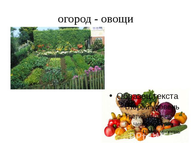 огород - овощи
