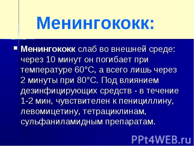 Менингококк:Менингококк слаб во внешней среде: через 10 минут он погибает при температуре 60°С, а всего лишь через 2 минуты при 80°С. Под влиянием дезинфицирующих средств - в течение 1-2 мин, чувствителен к пенициллину, левомицетину, тетрациклинам, …