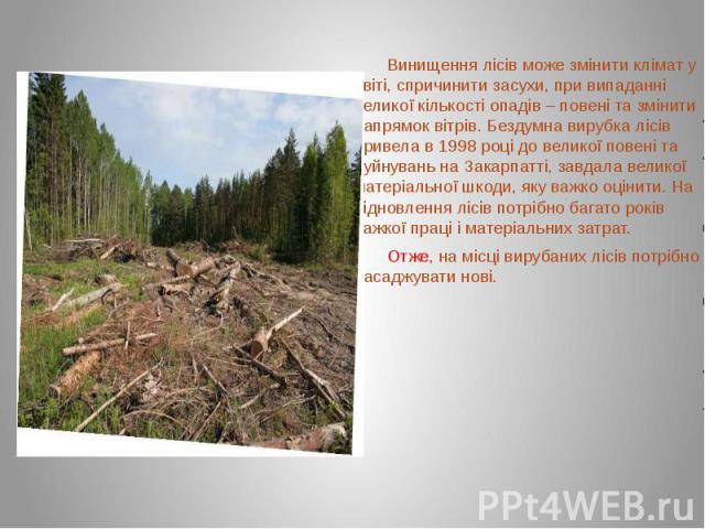 Винищення лісів може змінити клімат у світі, спричинити засухи, при випаданні великої кількості опадів – повені та змінити напрямок вітрів. Бездумна вирубка лісів привела в 1998 році до великої повені та руйнувань на Закарпатті, завдала великої мате…