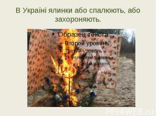 В Україні ялинки або спалюють, або захороняють.