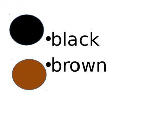 black brown