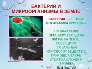 БАКТЕРИИ – «ВЕЛИКИЕ МОГИЛЬЩИКИ ПРИРОДЫ» ЭТИ МАЛЕНЬКИЕ ОРГАНИЗМЫ СОЗДАЛИ ЖИЗНЬ НА