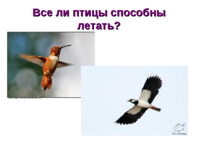 Все ли птицы способны летать?