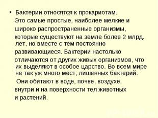 Бактерии относятся к прокариотам. Бактерии относятся к прокариотам. Это самые пр