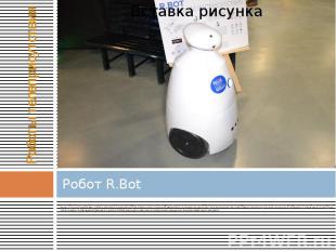 Робот R.Bot Робот R.Bot - настоящий помощник человека, способный наделить своего