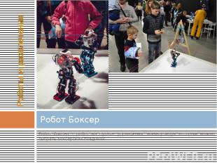 Робот Боксер Робот боксер – робот на пульте управления, манипулируя которым можн