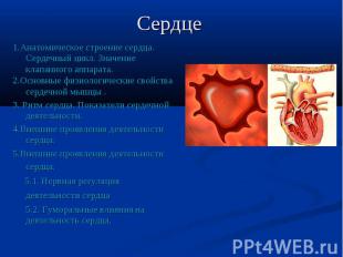 Сердце 1.Анатомическое строение сердца. Сердечный цикл. Значение клапанного аппа
