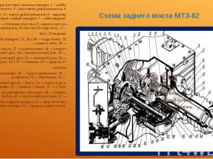 Схема заднего моста МТЗ-82 1 и 12 – ведущие шестерни конечных передач; 2 – шайба