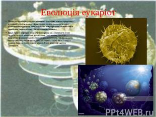 Еволюція еукаріот Подальша еволюція прокаріот пов'язана з освоєнням нового серед