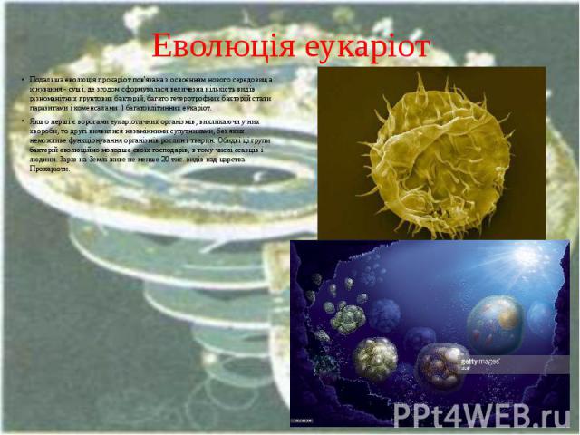 Еволюція еукаріот Подальша еволюція прокаріот пов'язана з освоєнням нового середовища існування - суші, де згодом сформувалася величезна кількість видів різноманітних грунтових бактерій, багато гетеротрофних бактерій стали паразитами і коменсалами )…