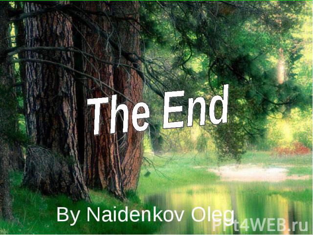The End By Naidenkov Oleg