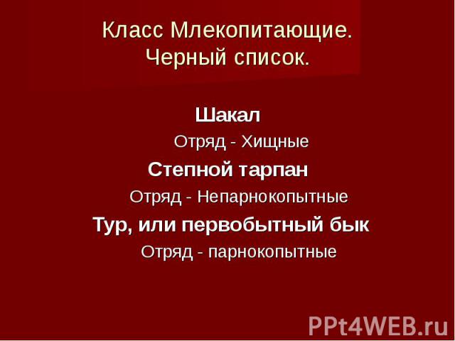 Шакал Шакал Отряд - Хищные Степной тарпан Отряд - Непарнокопытные Тур, или первобытный бык Отряд - парнокопытные