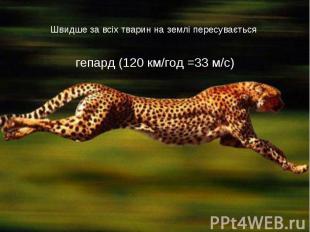 Швидше за всіх тварин на землі пересувається гепард (120 км/год =33 м/с)
