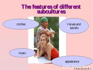 The features of different subcultures