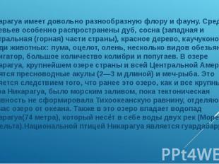 Никарагуа имеет довольно разнообразную флору и фауну. Среди деревьев особенно ра