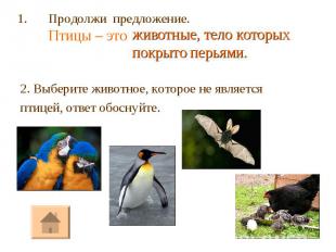 2. Выберите животное, которое не является птицей, ответ обоснуйте.