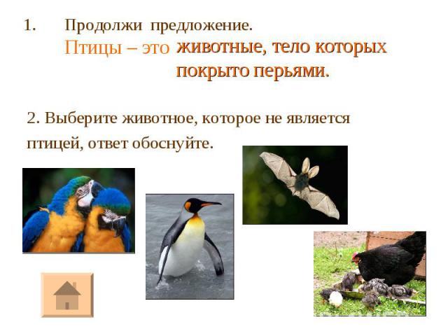 2. Выберите животное, которое не является птицей, ответ обоснуйте.