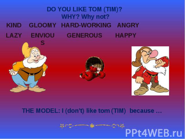 DO YOU LIKE TOM (TIM)? WHY? Why not?