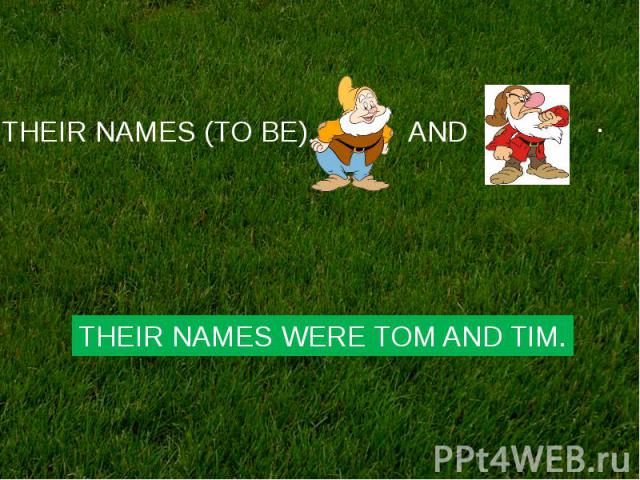 THEIR NAMES WERE TOM AND TIM.
