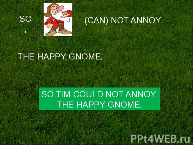 SO TIM COULD NOT ANNOY THE HAPPY GNOME.