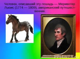 Человек, описавший эту лошадь — Мериветер Льюис (1774 — 1809), американский путе