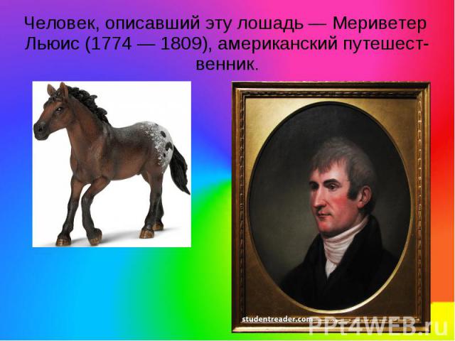 Человек, описавший эту лошадь — Мериветер Льюис (1774 — 1809), американский путешест- венник.