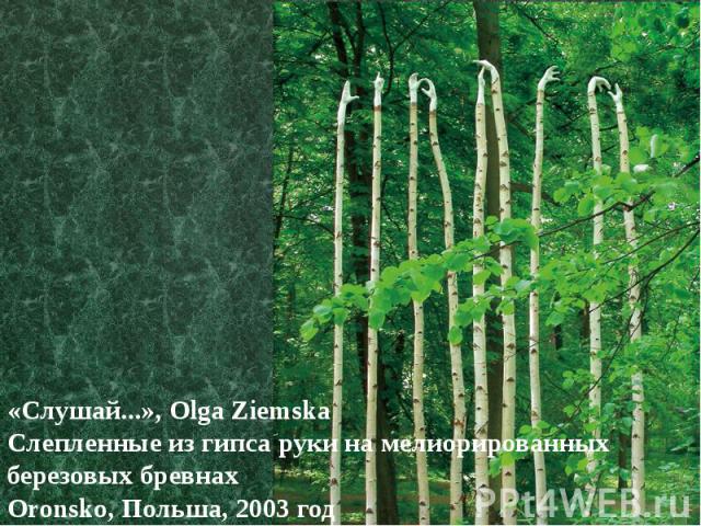 «Слушай...», Olga Ziemska Слепленные из гипса руки на мелиорированных березовых бревнах Oronsko, Польша, 2003 год