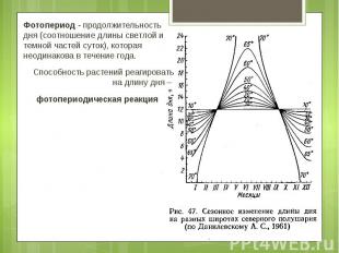 Фотопериод - продолжительность дня (соотношение длины светлой и темной частей су