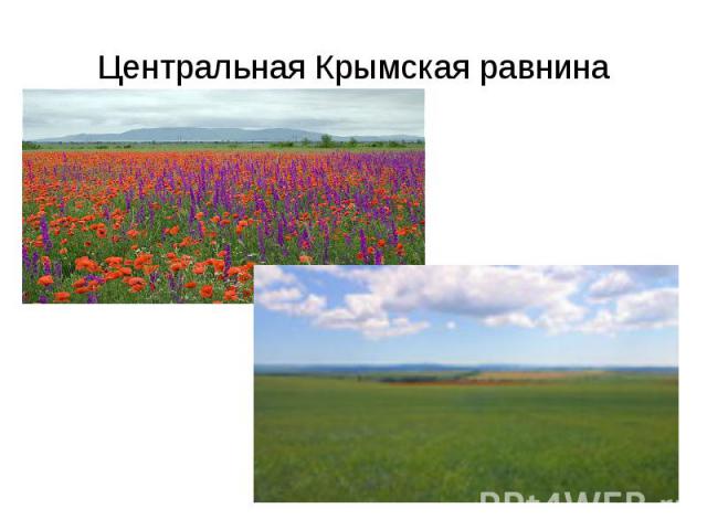 Центральная Крымская равнина