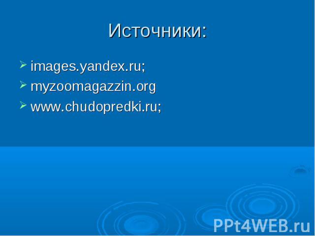 Источники:images.yandex.ru;myzoomagazzin.orgwww.chudopredki.ru;