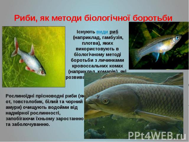 Риби, як методи біологічної боротьби
