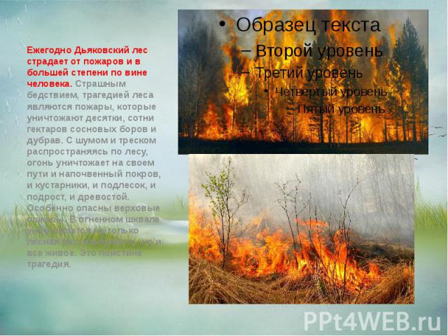 Ежегодно Дьяковский лес страдает от пожаров и в большей степени по вине человека. Страшным бедствием, трагедией леса являются пожары, которые уничтожают десятки, сотни гектаров сосновых боров и дубрав. С шумом и треском распространяясь по лесу, огон…