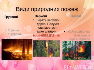 Види природних пожежҐрунтові