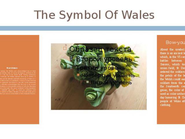 The Symbol Of Wales Narcissus In the eighteenth century, the Welsh were acknowledged day of Saint David as its national holiday. And, of course, he began to celebrate in the spring - on March 1, the day of the Saint's death. During celebratory festi…