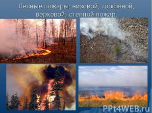 Лесные пожары: низовой, торфяной, верховой; степной пожар.