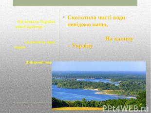 Сколотила чисті води невідомо нащо, На калину – Україну Накинула зашморг.