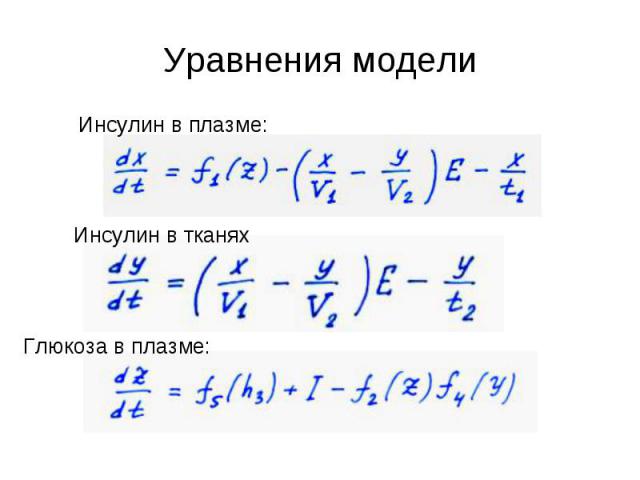 Уравнения модели