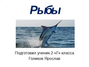 Рыбы Подготовил ученик 2 «Г» класса Голиков Ярослав