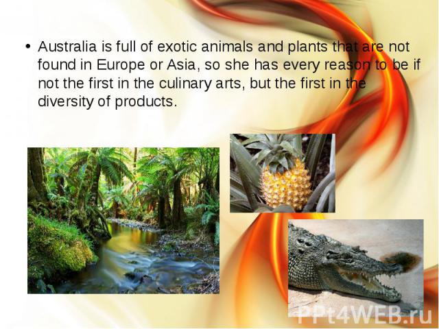Australia is full of exotic animals and plants that are not found in Europe or Asia, so she has every reason to be if not the first in the culinary arts, but the first in the diversity of products. Australia is full of exotic animals and plants that…