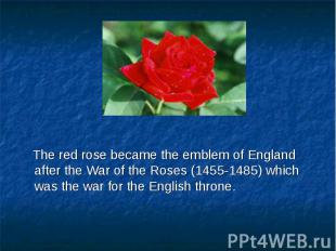 The red rose became the emblem of England after the War of the Roses (1455-1485)