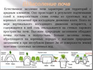 Б)Засоление почв &nbsp;Естественное засоление почв характерно для территорий с а