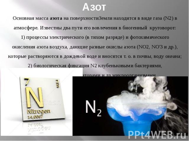 Азот Основная масса азота на поверхностиЗемли находится в виде газа (N2) в  атмосфере. Известны два пути его вовлечения в биогенный  круговорот:  1)&…