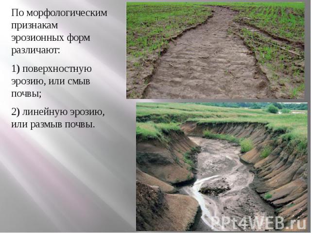 По морфологическим признакам эрозионных форм различают: По морфологическим признакам эрозионных форм различают: 1) поверхностную эрозию, или смыв почвы; 2) линейную эрозию, или размыв почвы.