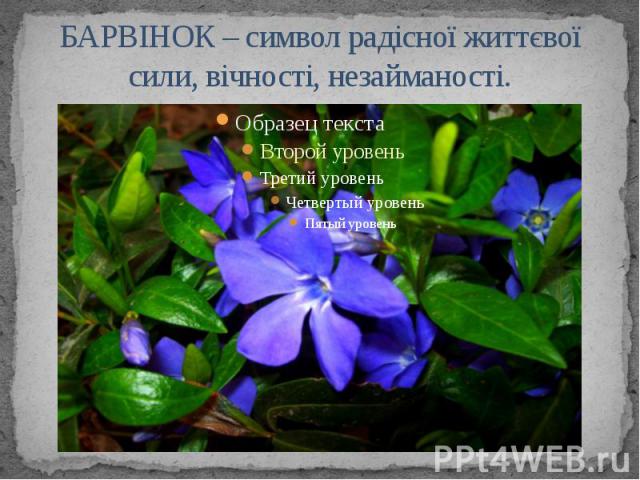 БАРВІНОК – символ радісної життєвої сили, вічності, незайманості.