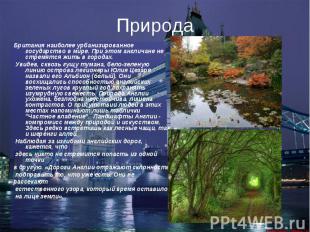 ПриродаБритания наиболее урбанизированное государство в мире. При этом англичане