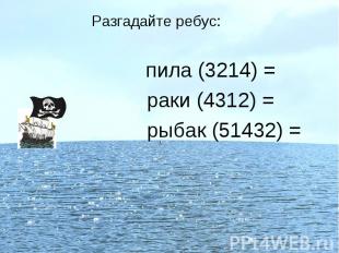 Разгадайте ребус: пила (3214) = раки (4312) = рыбак (51432) =