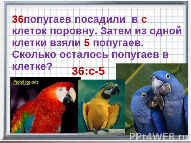 36попугаев посадили в с клеток поровну. Затем из одной клетки взяли 5 попугаев. Сколько осталось попугаев в клетке?