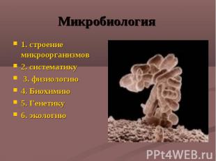 Микробиология 1. строение микроорганизмов 2. систематику 3. физиологию 4. Биохим